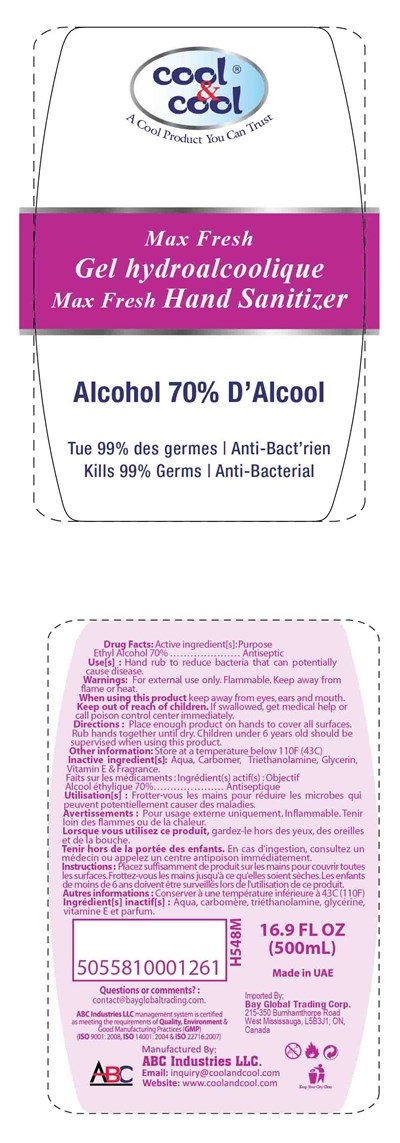 500ml sanitizer max - Hand Sanitizers 500 ml Max